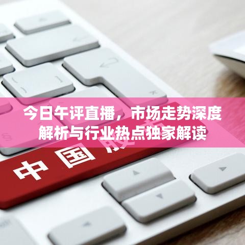 今日午評直播，市場走勢深度解析與行業(yè)熱點(diǎn)獨(dú)家解讀