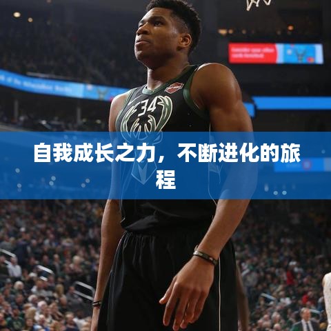 自我成長(zhǎng)之力，不斷進(jìn)化的旅程