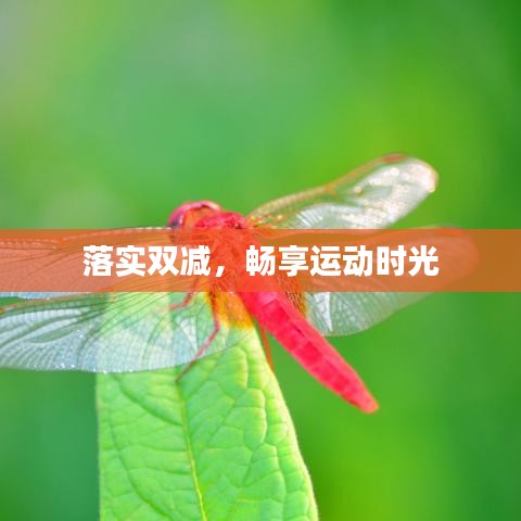 落實雙減，暢享運動時光