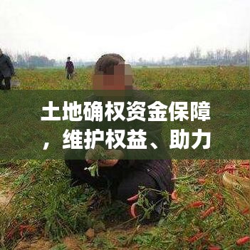 土地確權(quán)資金保障，維護(hù)權(quán)益、助力農(nóng)村發(fā)展的關(guān)鍵舉措