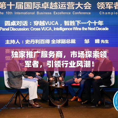 獨(dú)家推廣服務(wù)商，市場(chǎng)探索領(lǐng)軍者，引領(lǐng)行業(yè)風(fēng)潮！
