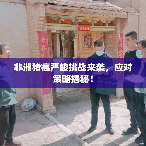 非洲豬瘟嚴(yán)峻挑戰(zhàn)來襲，應(yīng)對(duì)策略揭秘！