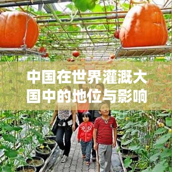 中國在世界灌溉大國中的地位與影響力解析