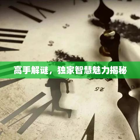 高手解謎，獨(dú)家智慧魅力揭秘