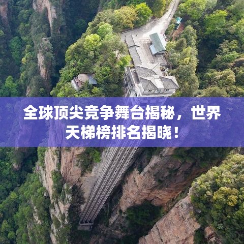 全球頂尖競(jìng)爭(zhēng)舞臺(tái)揭秘，世界天梯榜排名揭曉！