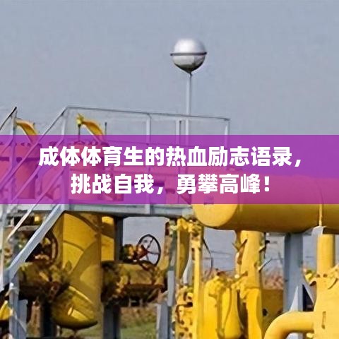 成體體育生的熱血?jiǎng)?lì)志語(yǔ)錄，挑戰(zhàn)自我，勇攀高峰！