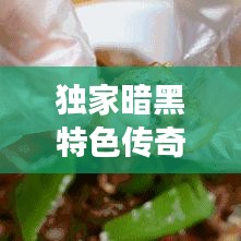 獨(dú)家暗黑特色傳奇，神秘傳奇之旅