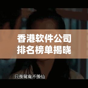 香港軟件公司排名榜單揭曉！最新排名一網(wǎng)打盡