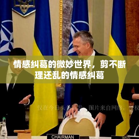 情感糾葛的微妙世界，剪不斷理還亂的情感糾葛