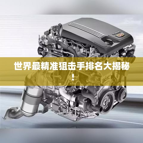 世界最精準狙擊手排名大揭秘！