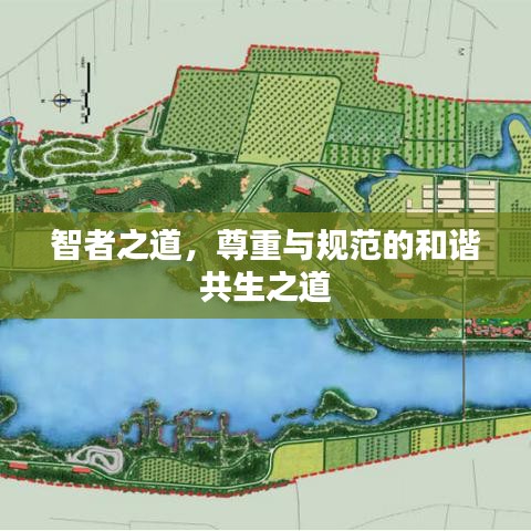 智者之道，尊重與規(guī)范的和諧共生之道