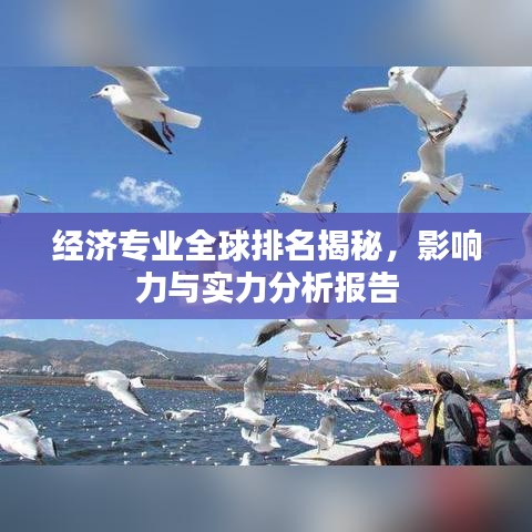 經(jīng)濟(jì)專業(yè)全球排名揭秘，影響力與實(shí)力分析報(bào)告