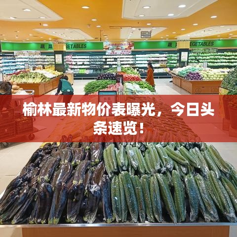 榆林最新物價表曝光，今日頭條速覽！