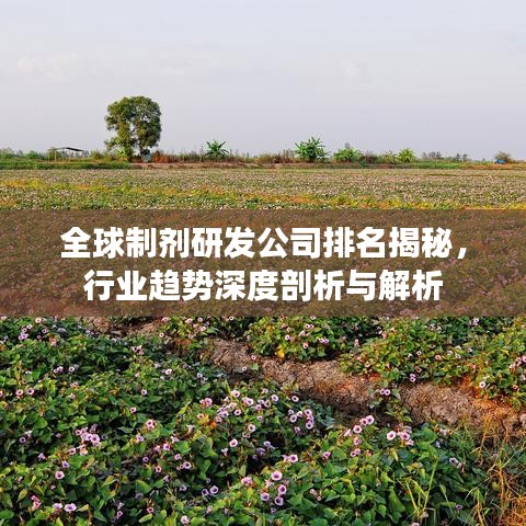 花樣新翻 第2頁(yè)