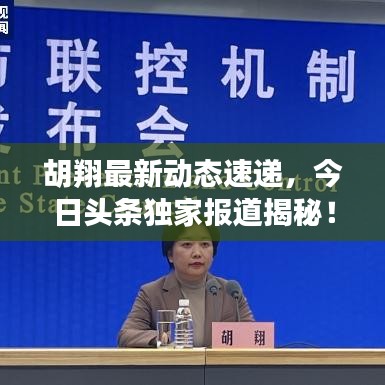 胡翔最新動(dòng)態(tài)速遞，今日頭條獨(dú)家報(bào)道揭秘！