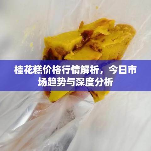 桂花糕價(jià)格行情解析，今日市場趨勢與深度分析