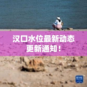 漢口水位最新動態(tài)更新通知！