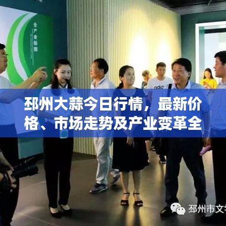 邳州大蒜今日行情，最新價(jià)格、市場(chǎng)走勢(shì)及產(chǎn)業(yè)變革全解析