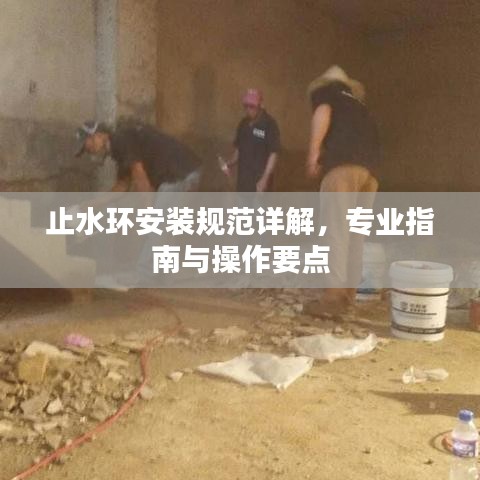 止水環(huán)安裝規(guī)范詳解，專業(yè)指南與操作要點(diǎn)