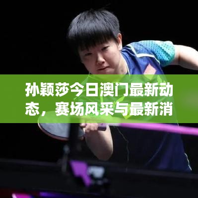 孫穎莎今日澳門最新動態(tài)，賽場風(fēng)采與最新消息速遞