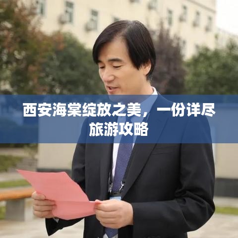 西安海棠綻放之美，一份詳盡旅游攻略