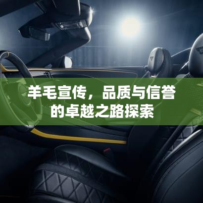 羊毛宣傳，品質(zhì)與信譽(yù)的卓越之路探索