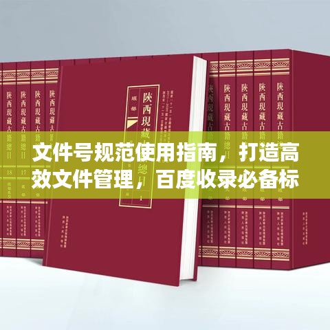 文件號規(guī)范使用指南，打造高效文件管理，百度收錄必備標題！