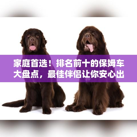 家庭首選！排名前十的保姆車大盤點(diǎn)，最佳伴侶讓你安心出行！