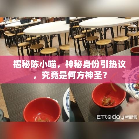 揭秘陳小喵，神秘身份引熱議，究竟是何方神圣？