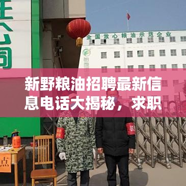 新野糧油招聘最新信息電話大揭秘，求職者福音，優(yōu)質(zhì)職位等你來(lái)挑！