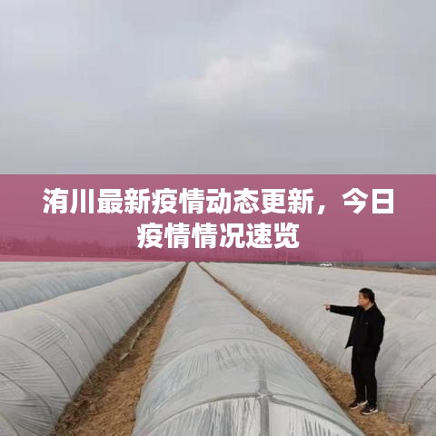 洧川最新疫情動態(tài)更新，今日疫情情況速覽