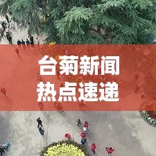 臺菊新聞熱點(diǎn)速遞，最新頭條報(bào)道搶先看！