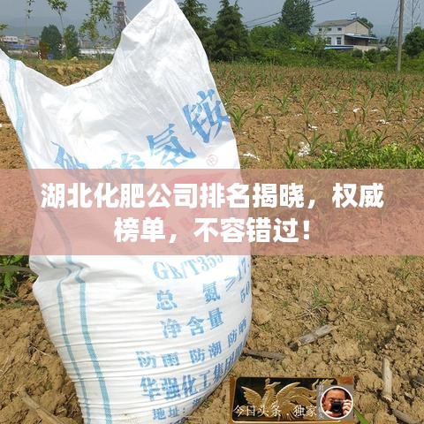 湖北化肥公司排名揭曉，權(quán)威榜單，不容錯(cuò)過(guò)！