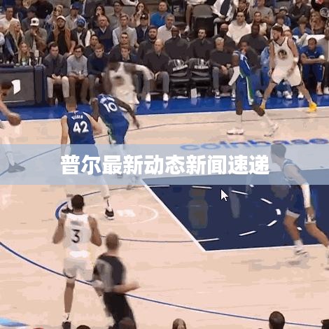 普爾最新動(dòng)態(tài)新聞速遞
