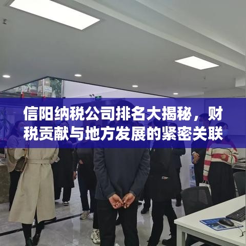 信陽納稅公司排名大揭秘，財(cái)稅貢獻(xiàn)與地方發(fā)展的緊密關(guān)聯(lián)