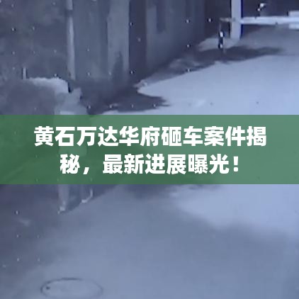 黃石萬(wàn)達(dá)華府砸車案件揭秘，最新進(jìn)展曝光！