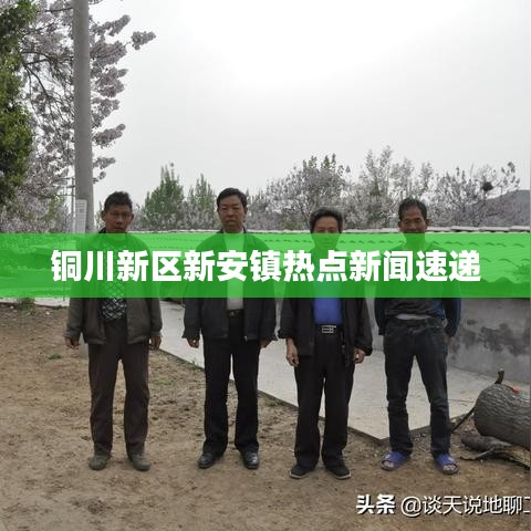 銅川新區(qū)新安鎮(zhèn)熱點(diǎn)新聞速遞