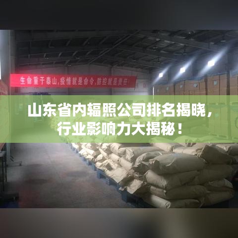 山東省內(nèi)輻照公司排名揭曉，行業(yè)影響力大揭秘！