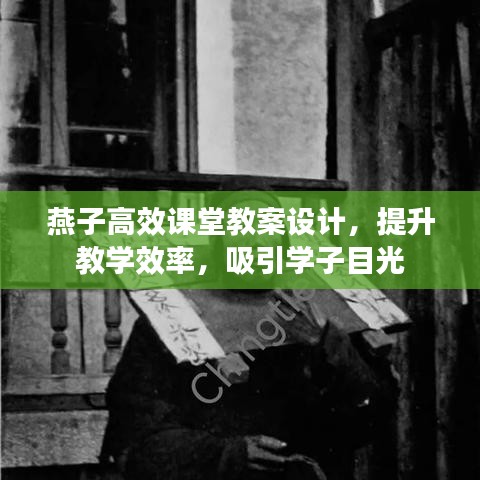 燕子高效課堂教案設(shè)計(jì)，提升教學(xué)效率，吸引學(xué)子目光