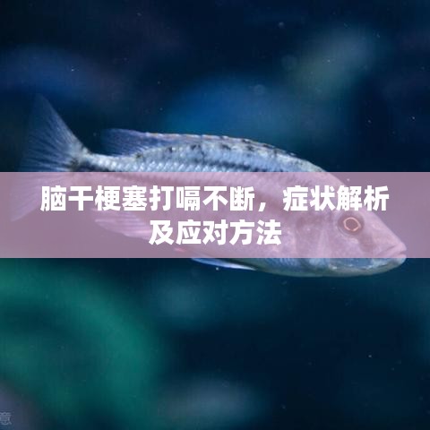 腦干梗塞打嗝不斷，癥狀解析及應(yīng)對(duì)方法