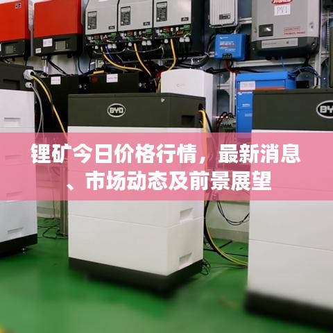 鋰礦今日價格行情，最新消息、市場動態(tài)及前景展望