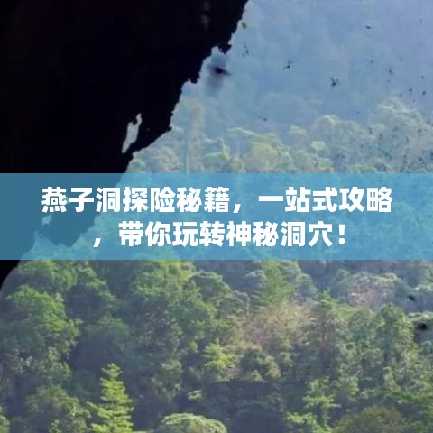 燕子洞探險(xiǎn)秘籍，一站式攻略，帶你玩轉(zhuǎn)神秘洞穴！