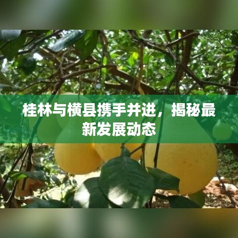 桂林與橫縣攜手并進，揭秘最新發(fā)展動態(tài)