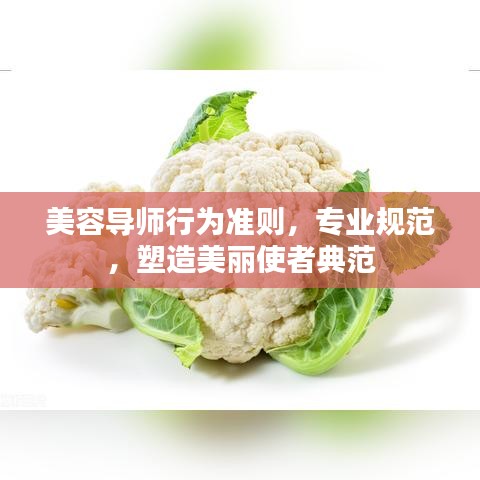美容導師行為準則，專業(yè)規(guī)范，塑造美麗使者典范
