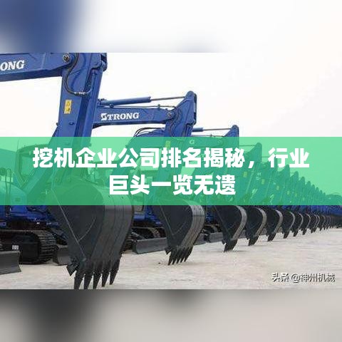 挖機(jī)企業(yè)公司排名揭秘，行業(yè)巨頭一覽無遺