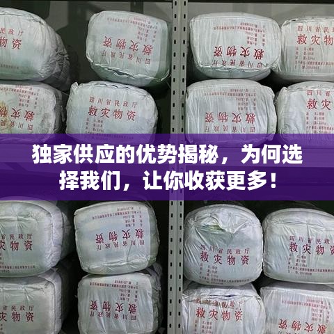獨(dú)家供應(yīng)的優(yōu)勢揭秘，為何選擇我們，讓你收獲更多！