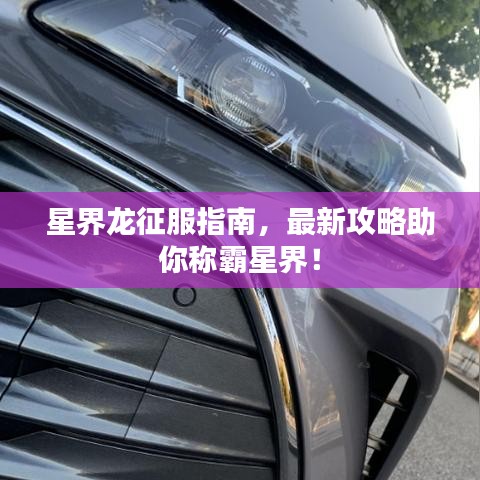 星界龍征服指南，最新攻略助你稱霸星界！