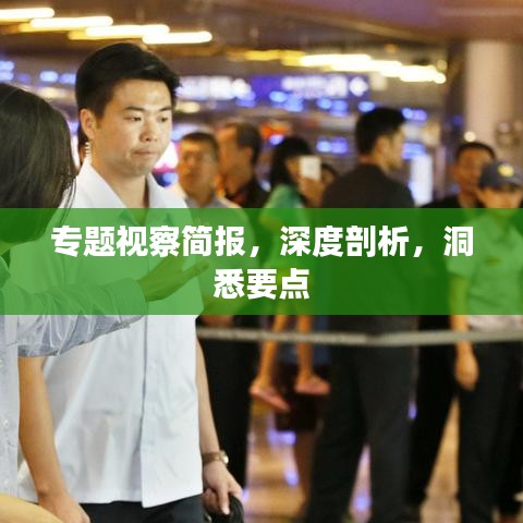 專題視察簡報，深度剖析，洞悉要點(diǎn)