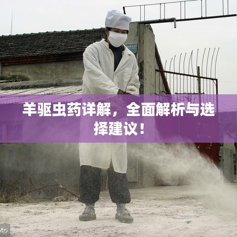 羊驅(qū)蟲藥詳解，全面解析與選擇建議！