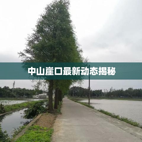 中山崖口最新動態(tài)揭秘